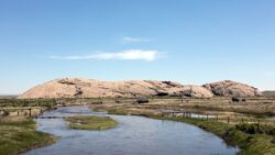 2021 06 23 1 250x141